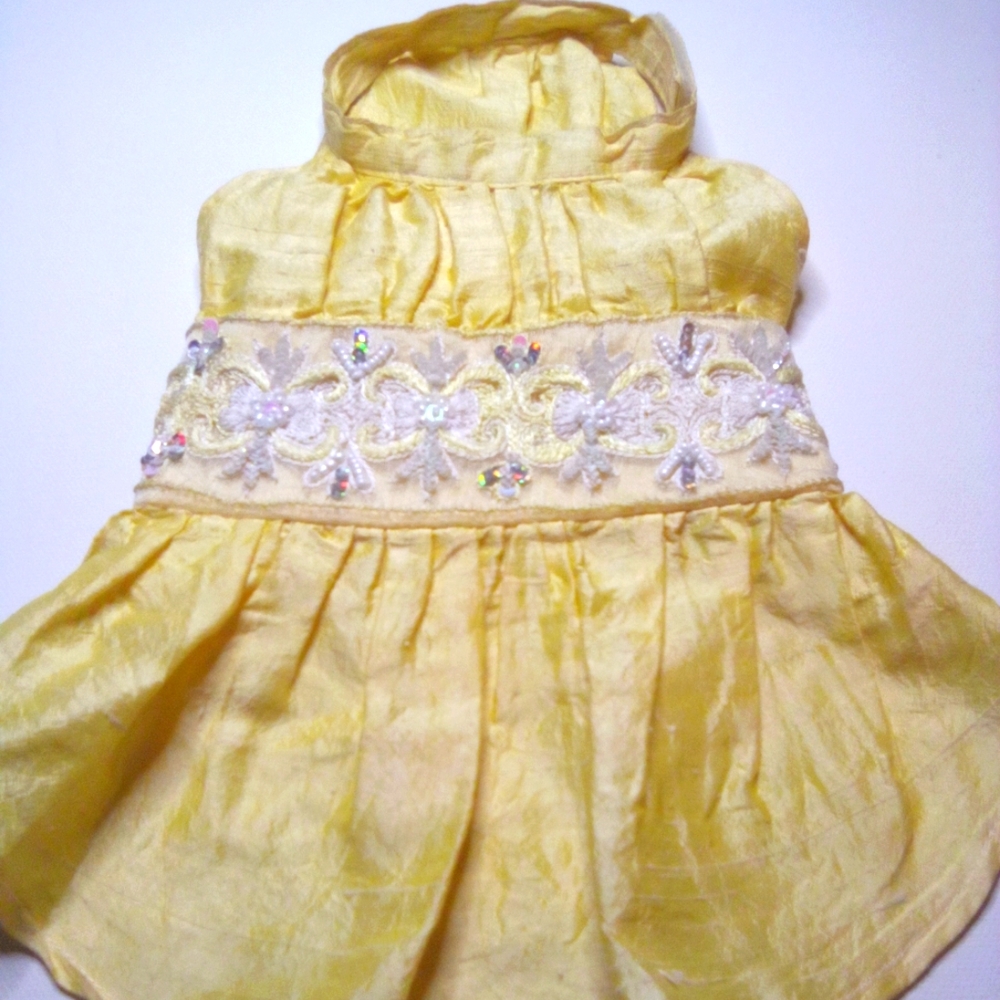 Designer Doggy Silk Dress